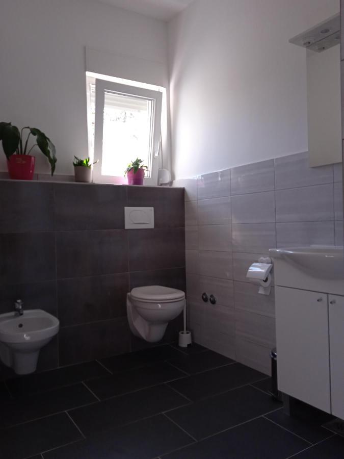 Seoski Turizam Stari Mlin Na Korani Room 2 Карловаць Екстер'єр фото